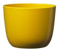 LILLEPOTIÜMBRIS SEVILLA 11CM KOLLANE