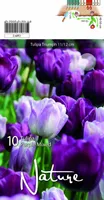 LILLESIBUL TULP TRIUMPH LILLA SEGU 10TK PAKIS