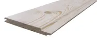 PRUSS HÖÖVELDATUD 18X45X2400MM