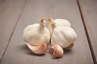 SUVEKÜÜSLAUK FLAVOR 4TK PAKIS