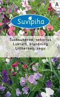 LILLESEEMNED SUVIPIHA LILLHERNES SEGU 