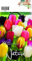LILLESIBUL TULP SINGLE LATE MIX 10TK PAKIS