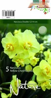 LILLESIBUL NARTSISS YELLOW CHEERFULNESS 5TK PAKIS