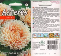 SEEMNED KURZEMES SEKLAS ASTER "LADY CORAL CHAMOIS"