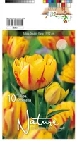 LILLESIBUL TULP DOUBLE EARLY MONSELLA 10TK PAKIS
