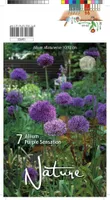 LILLESIBUL LAUK PURPLE SENSATION 7TK PAKIS