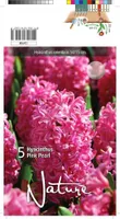 LILLESIBUL HÜATSINT PINK PEARL 5TK PAKIS