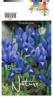 LILLESIBUL IIRIS 15TK PAKIS
