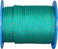 NÖÖR PUNUTUD POLÜPROPÜLEEN 8MM ROH/PUN