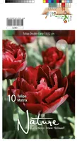 LILLESIBUL TULP DBL. EARLY MATRIX 10TK PAKIS