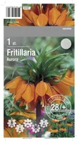 LILLESIBUL PÜVILILL AURORA 1TK PAKIS