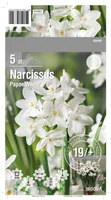 LILLESIBUL NARTSISS PAPER WHITE 5TK PAKIS