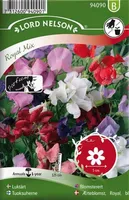 LILLESEEMNED LÕHNAV LILLHERNES "ROYAL" 8G/PK