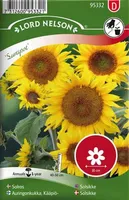 LILLESEEMNED PÄEVALILL "SUNSPOT" 6G/PK
