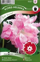 LILLESEEMNED INDIGO-LEHTERTAPP "SPLIT SECOND" 5G/PK