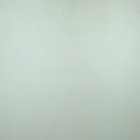 SEINAPANEEL LAMINEERITUD 8X250X2700MM, NATURAALVALGE