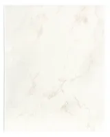 KERAAMILINE SEINAPLAAT ICE WHITE 20X25 MATT IIS