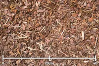 KOOREMULTSH MÄNNIKOOR BALTIC BARK 0-15MM 80L/KOTIS