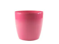 LILLEPOTIÜMBRIS BRUSSELS LÄIKIV 18CM FUKSIA