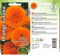 SEEMNED KURZEMES SEKLAS SAIALILL ORANGE GITANA 2 G