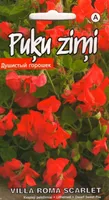 SEEMNED KURZEMES SEKLAS LILLHERNES VILLA ROMA SCARLET MADAL 1 G