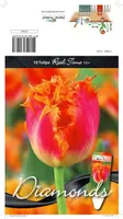 LILLESIBUL TULP CRISPA REAL TIME 10TK PAKIS