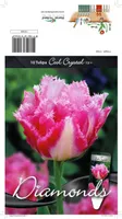 LILLESIBUL TULP CRISPA COOL CRYSTAL 10TK PAKIS