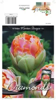 LILLESIBUL TULP DLT MENTON UNIQUE 10TK PAKIS
