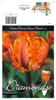 LILLESIBUL TULP PKT PRINSES IRENE PARROT 10TK PAKIS