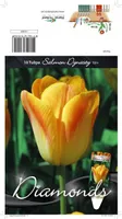 LILLESIBUL TULP TRT SALMON DYNASTY 10TK PAKIS