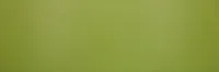 KERAAMILINE SEINAPLAAT PARADYZ MIDIAN VERDE 20X60CM