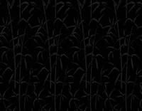 KLEEBIS D-C-FIX 0,45X2M 346-0603