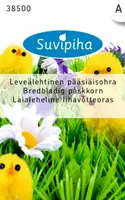 SEEMNED SUVIPIHA LAIALEHELINE LIHAVÕTTEORAS 10G