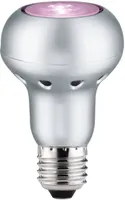 LEDLAMP TAIMEDELE R63 6W E27 ROSE SPECIAL PAULMANN