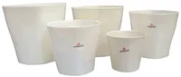 LILLEPOTIÜMBRIS CHAMPAGNE PEARL 328/21