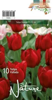 LILLESIBUL TULP TRIUMPH PALLADA 10TK PAKIS