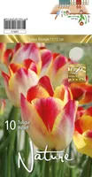 LILLESIBUL TULP TRT HEART 10TK PAKIS