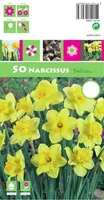 LILLESIBUL NARTSISS GK YELLOW 50TK PAKIS