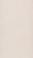 TAPEET PAINT TEXTURE GREIGE 10,05X0,53M