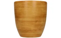 ISTUTUSPOTT NOVA NR. 2
