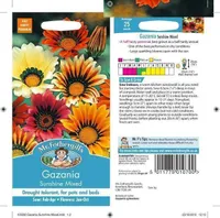LILLESEEMNED GASAANIA SUNSHINE MIX