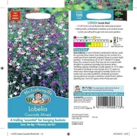 LILLESEEMNED LOBEELIA CASCADE MIX