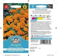 LILLESEEMNED PEIULILL ORANGE BOY