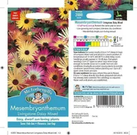 LILLESEEMNED LÕUNALILL LIVINGSTONE DAISY MIX