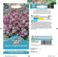 LILLESEEMNED ÖÖLEVKOI NIGHT SCENTED