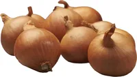 TIPPSIBUL GOLDEN GOURMET Ø7-14MM 0,5KG