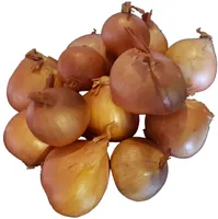 TIPPSIBUL GOLDEN GOURMET Ø7-14MM 0,5KG
