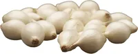 TIPPSIBUL SNOWBALL Ø8-24MM 0,5KG