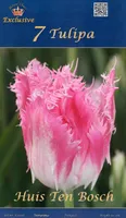 LILLESIBUL TULP HUIS TEN BOSCH 7TK PAKIS