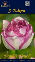 LILLESIBUL TULP DOUBLE TOUCH 3TK PAKIS